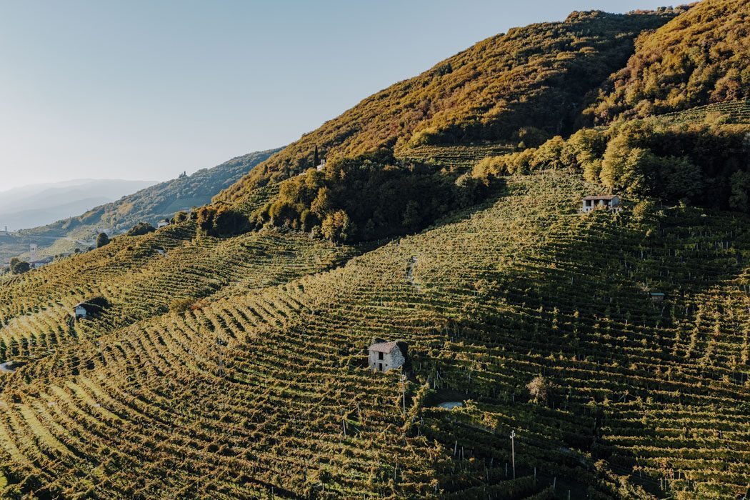 Prosecco hills in Veneto